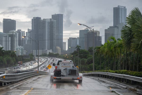 The foundation transported corals from nurseries across South Florida to locations that will serve as gene banks.